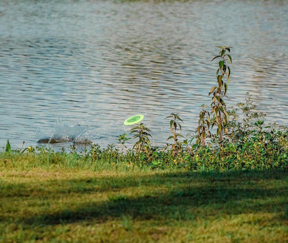 Disc floating in the water OB